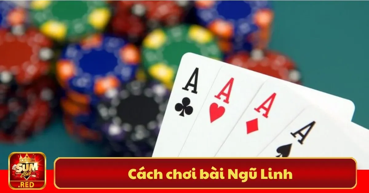 Bài Ngũ Linh SUMCLUB là gì? Giới thiệu tổng quan