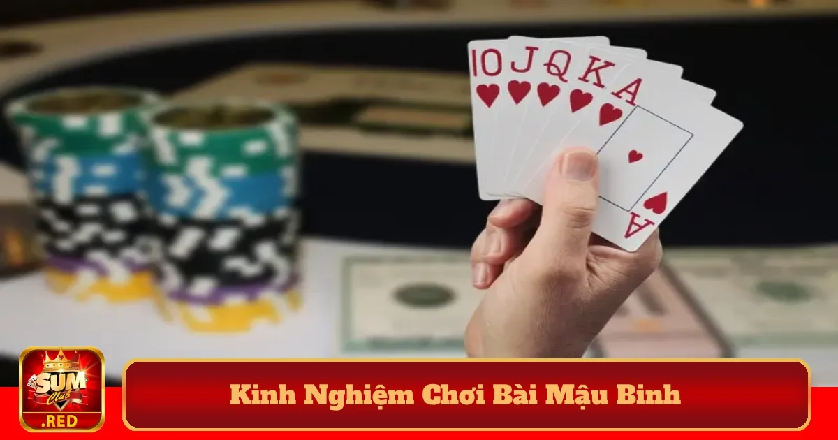 Kinh nghiệm chơi bài Mậu Binh hiệu quả để làm chủ ván đấu