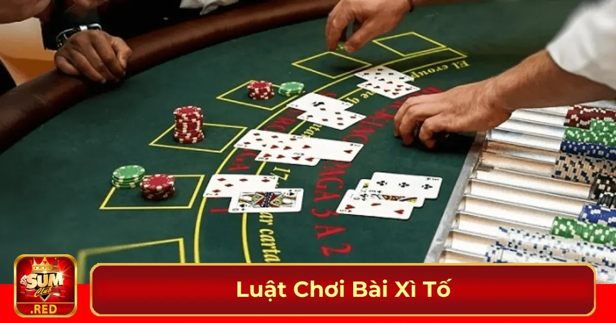 Quy tắc chia bài và thứ tự chơi bài Xì Tố