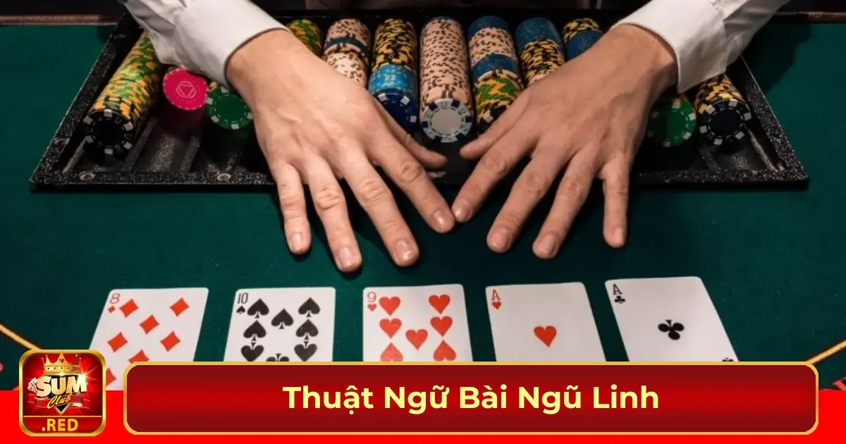 thuat ngu bai ngu linh 1