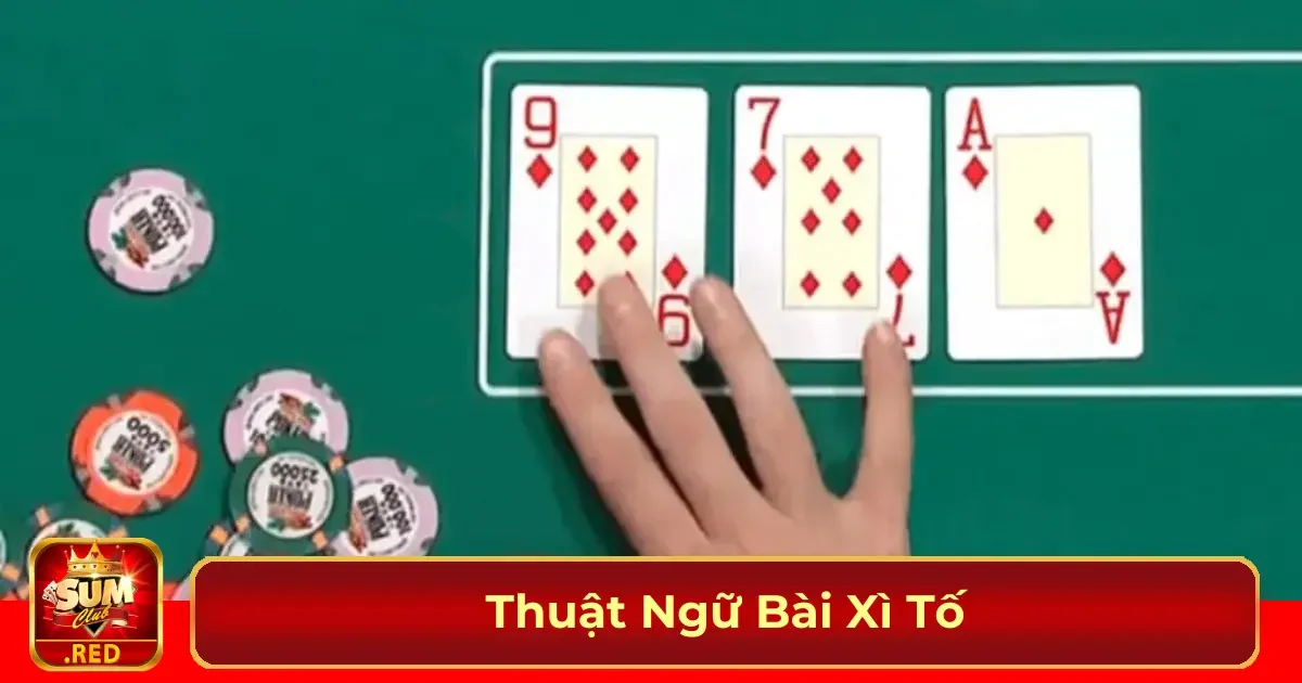 Các thuật ngữ cơ bản mà người mới chơi cần biết